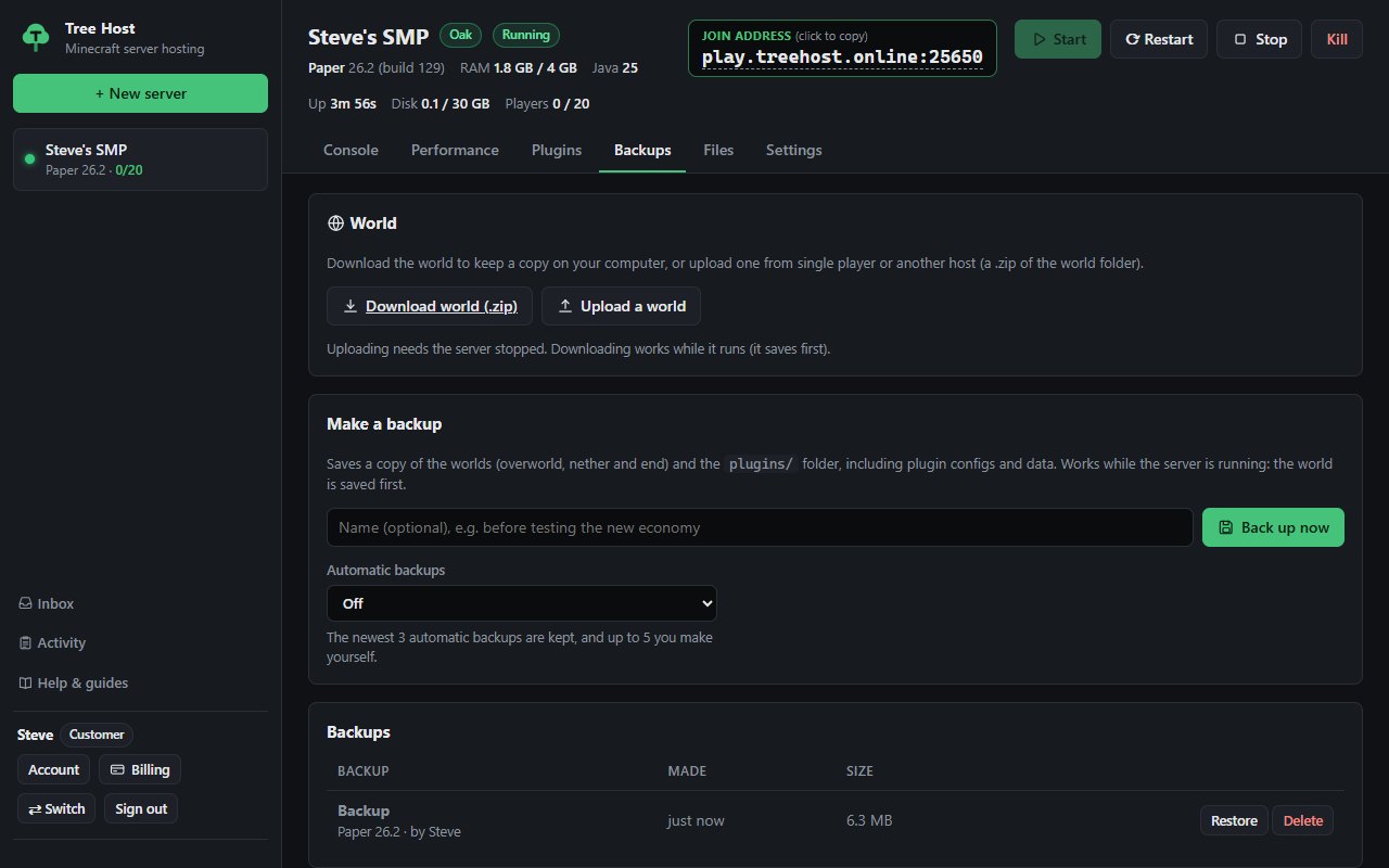 Backups tab with a saved backup